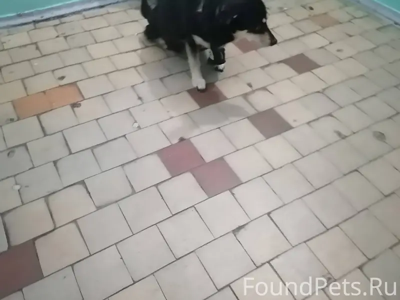 🆘 18 декабря у магазина Монетк...