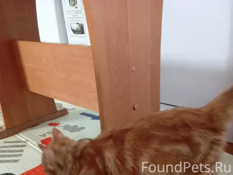 20 декабря 2025 в районе танко...