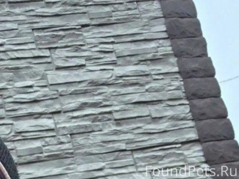 Пропала собака зовут Джесси .Е...