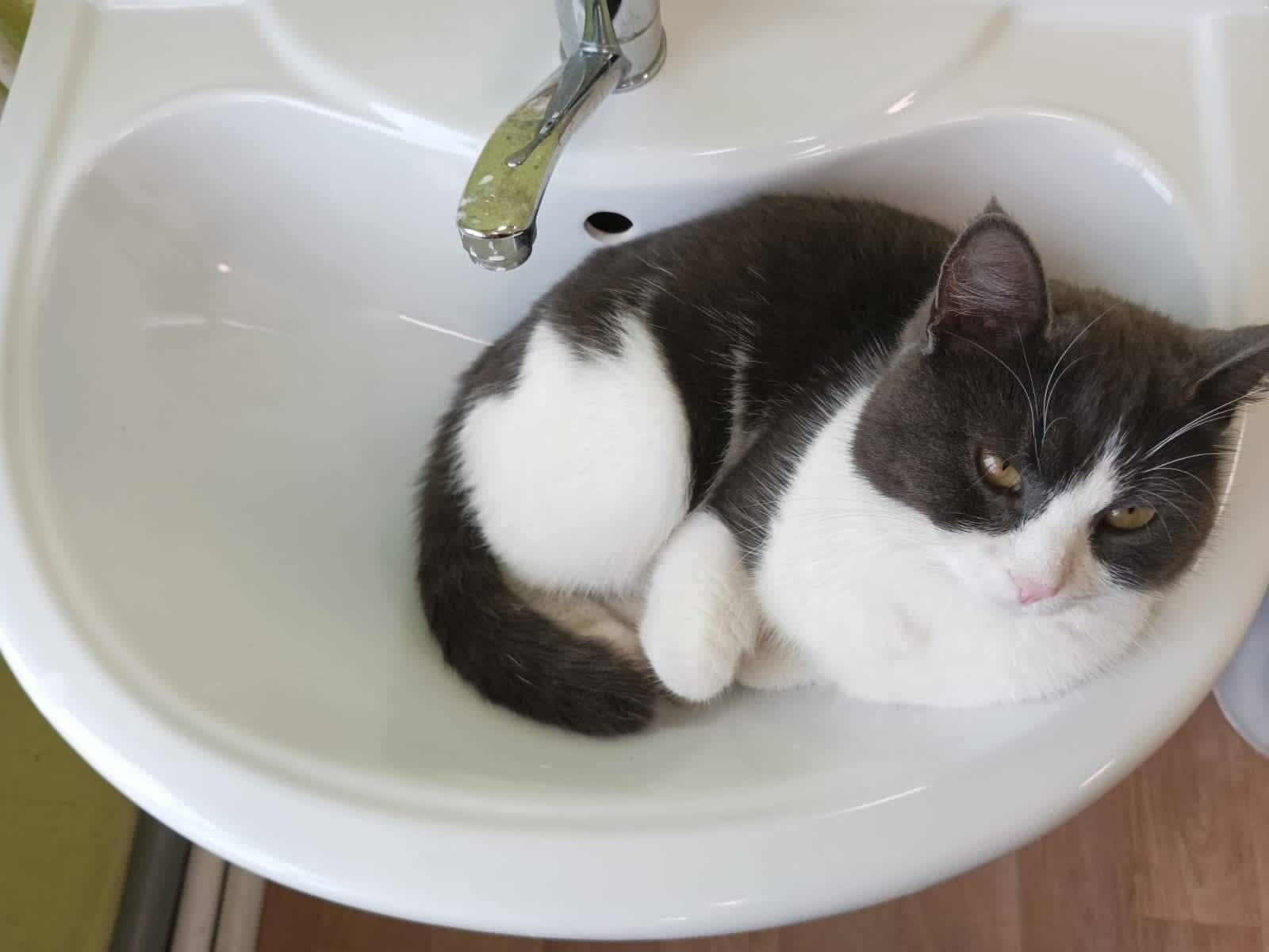 Люди добрые!!! МО, г.Воскресен...