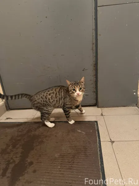 ‼ХОЗЯИН, НАЙДИСЬ ‼️ ‼️Здравств...