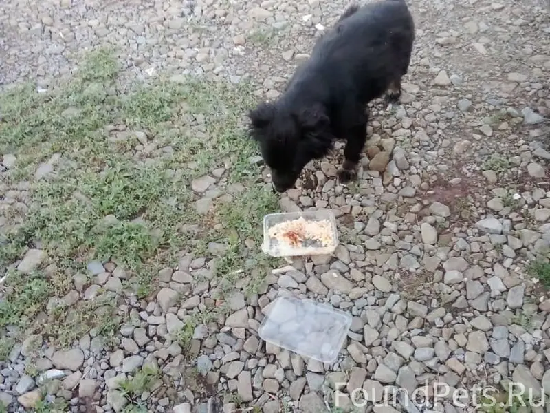 Внимание!!! Розыск!!! Пропала ...