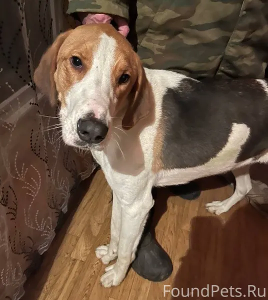 (Помогаю информационно) Дзержи...