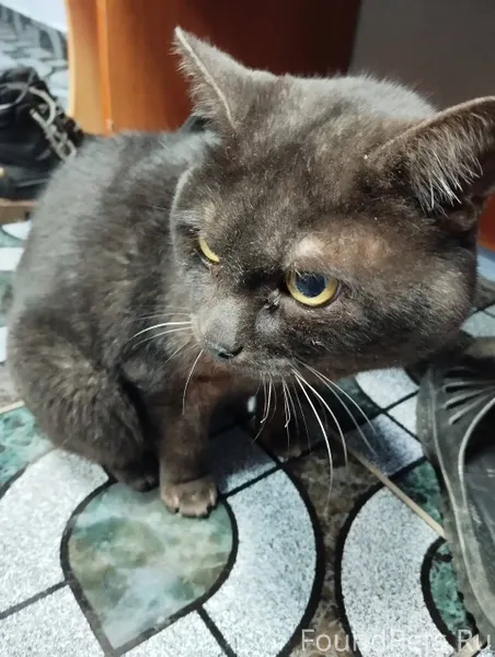 🆘🆘🆘🆘🆘🆘🆘🆘 ✅На Димитрова найден ...