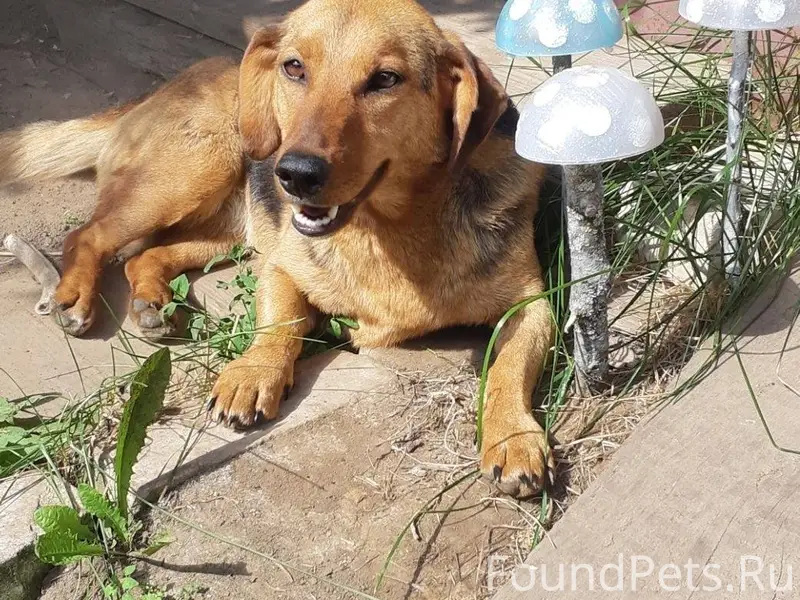 Вчера 21.12.2025 года в...