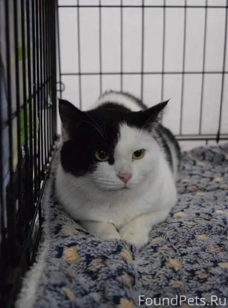 Вот такая малышка в поисках до...