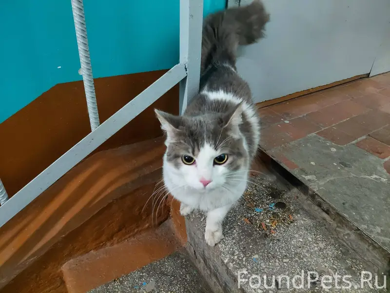 Здравствуйте, на 7 микрорайоне...