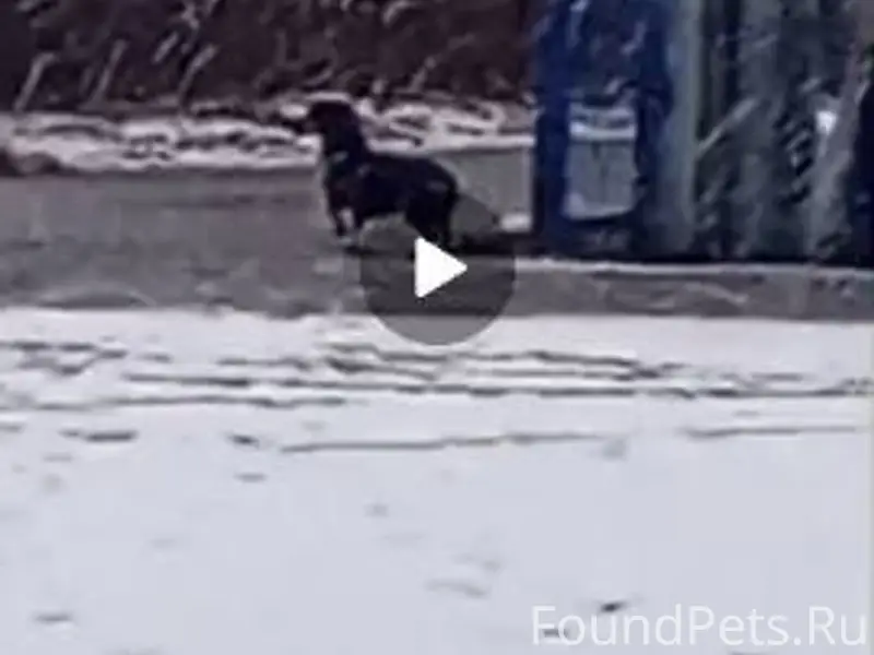 Орехово-Зуево, Карболит. 🆘🆘🆘Же...