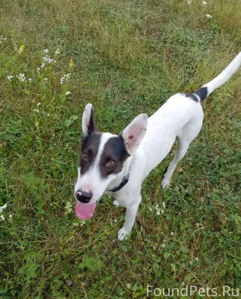 🗣️ Жители Апшеронска и района!...