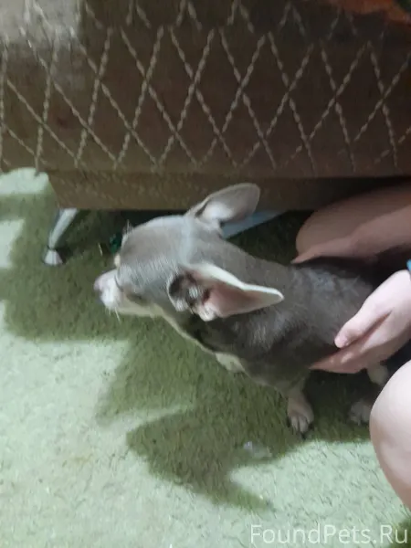 Сегодня в районе 28 шахты СНТ....