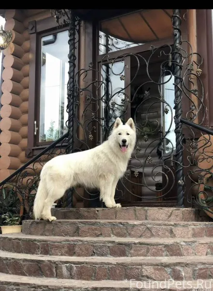 Добрый вечер. Очень нужна помо...