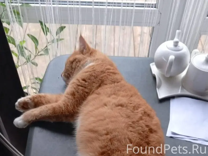 ПОТЕРЯЛСЯ В Деревней Таширово ...