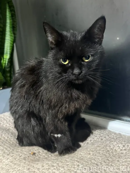 ‼️СРОЧНО ‼️❗️‼️ Квартал Волков...