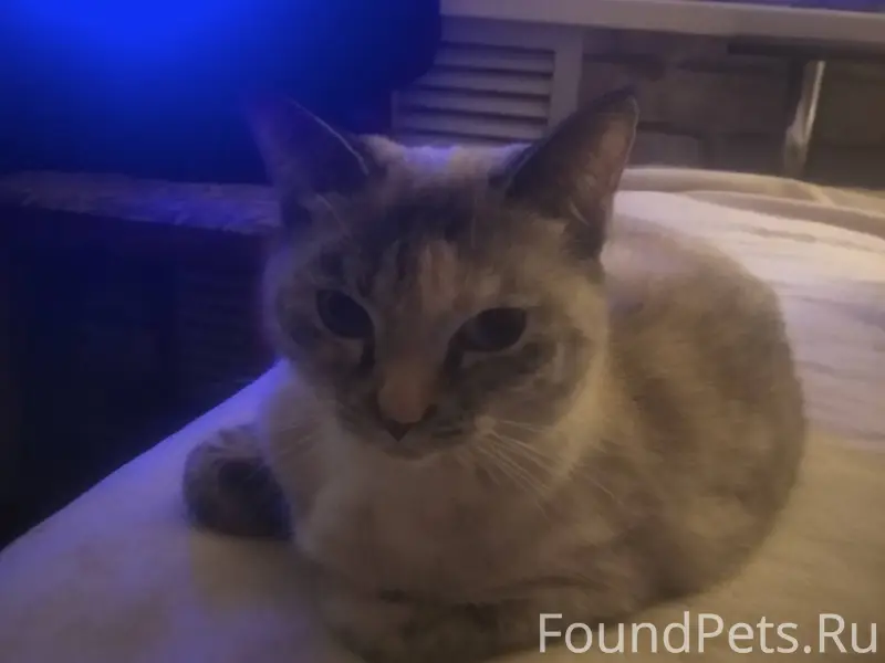 Доброго времени суток!!! Помог...