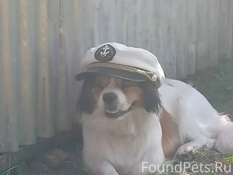 Село А донская на улице победа...