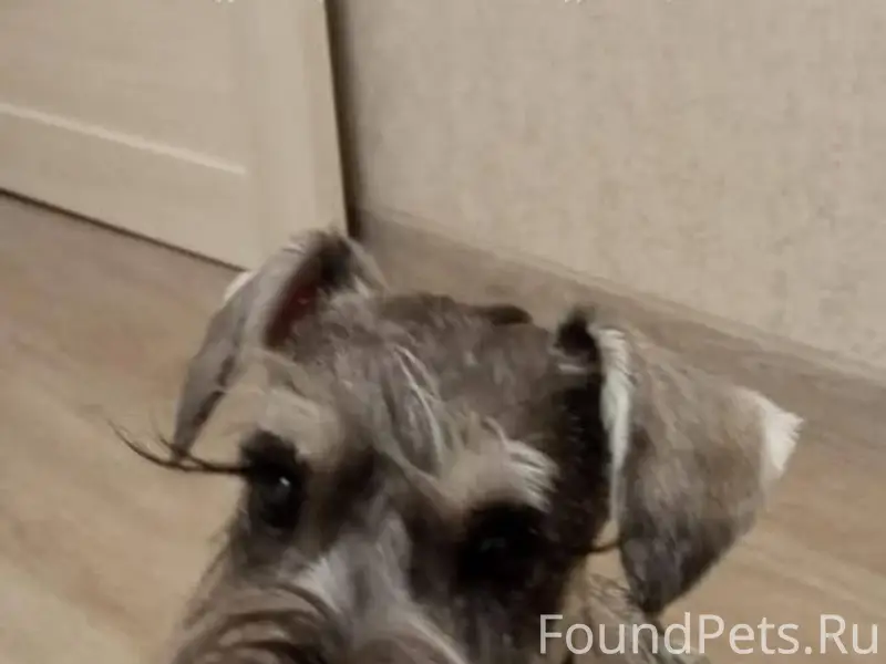 🆘🆘🆘До сих пор не найден‼️ Влад...