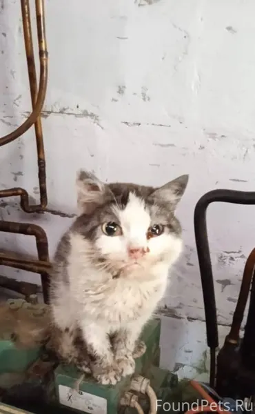 Маруся из поста https://m.vk.....