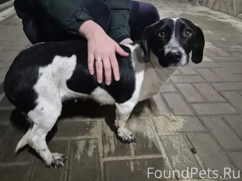 21.12. около 21:00 на...