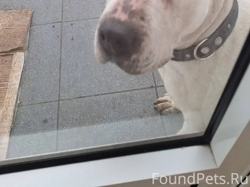 245 квартал,район универсам, о...