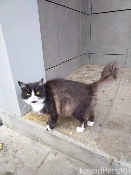 Для тех, кто помнит это Чудо.....