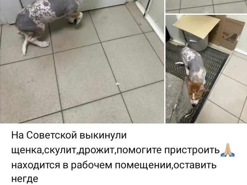 Серпухов, Московская область. ...