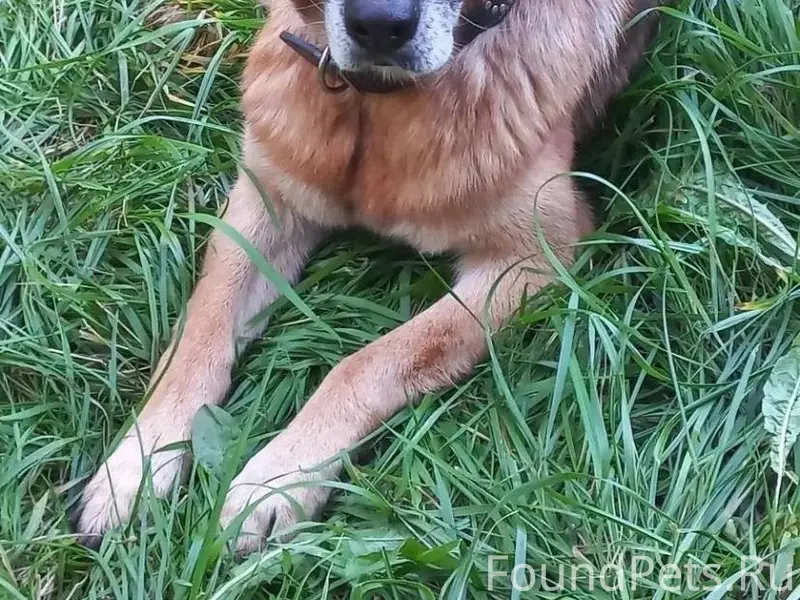 Поиск! У моей подруги пропала ...