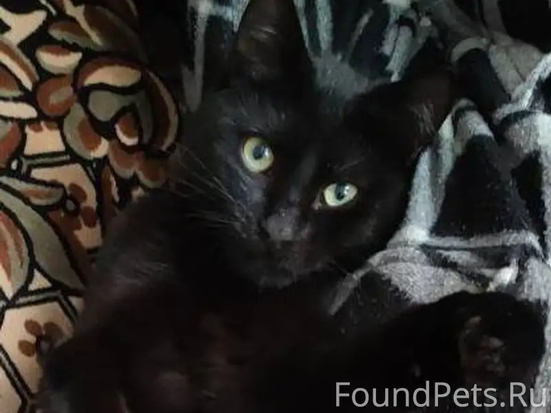 Добрый день 19 декабря в район...