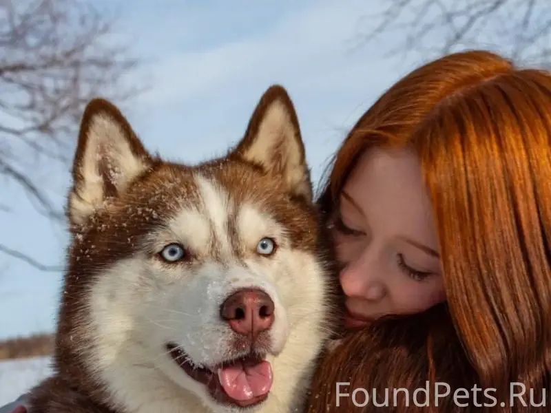 Потерялась собака, Откликается...