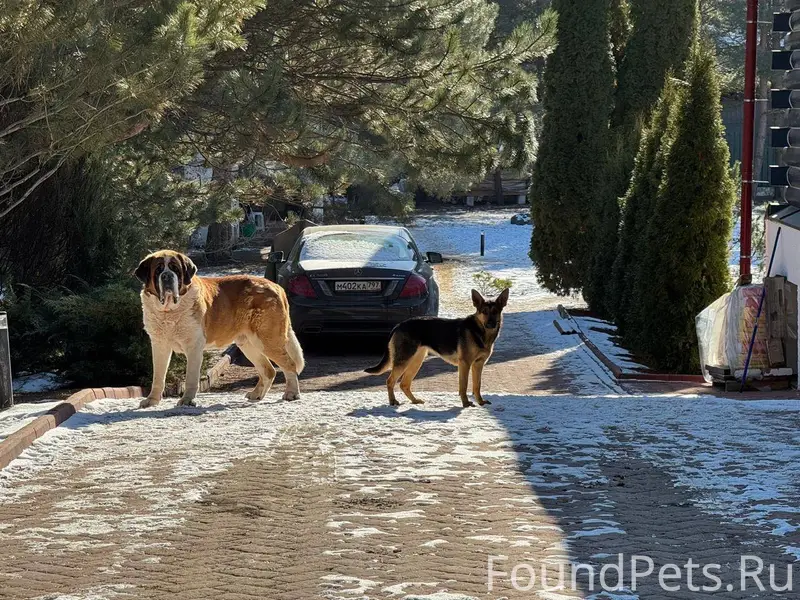 Люди добрые! Сегодня через нез...