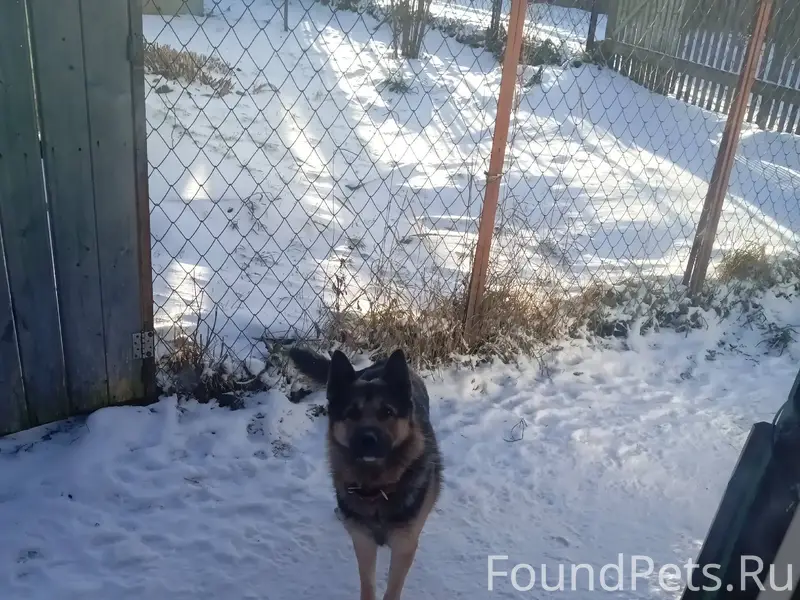 Яхрома добрый вечер, чья потер...