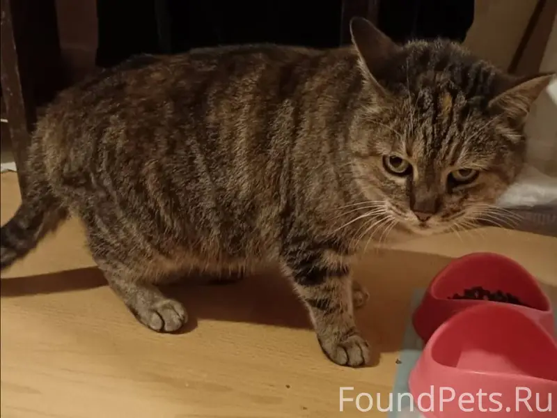 На территории фабрик Красный О...