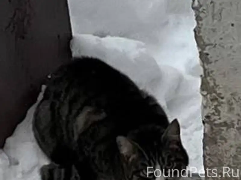 В районе ДК Россия и во...