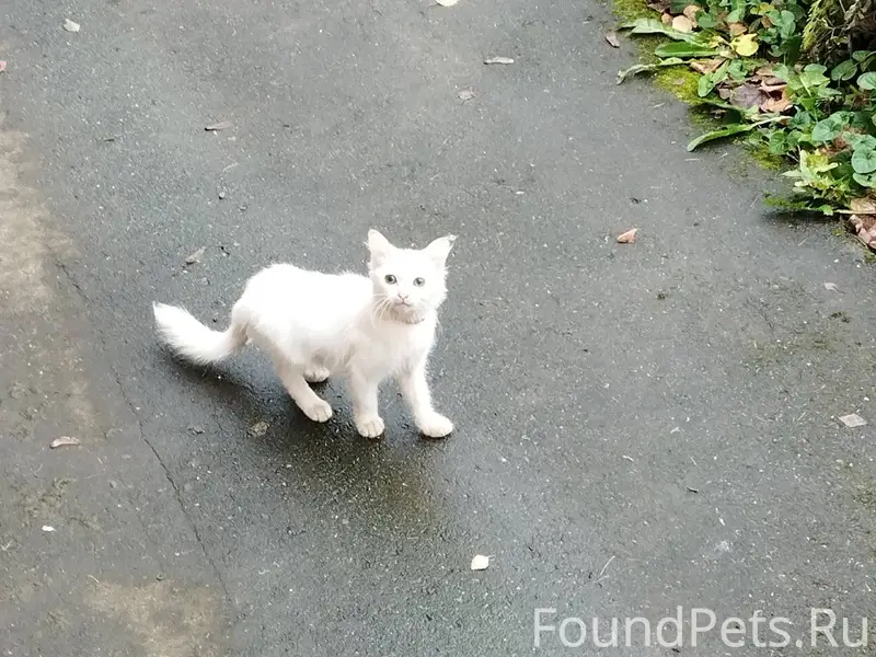 К последнему подъезду по адрес...