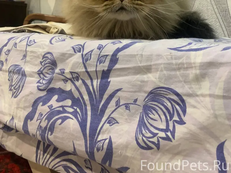 Краснооктябрьский район, Волго...