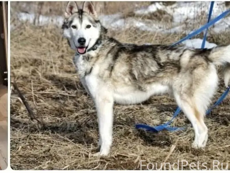 ГАТЧИНА! ВАЙЯ, ЛО! __22. 12. 2...