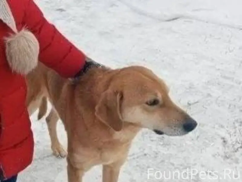 Всех приветствую! Вчера пример...