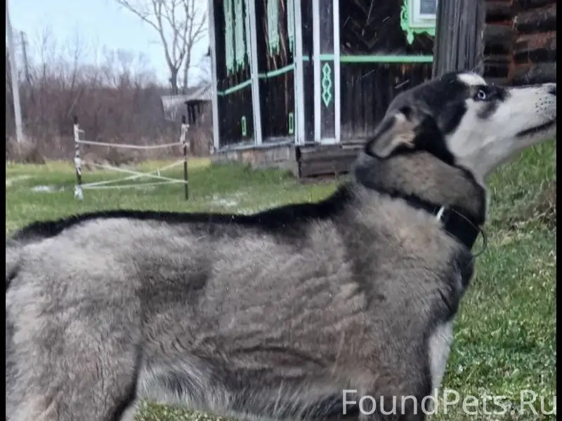 Уважаемые жители Вознесенского...