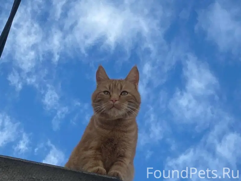 #зверьё@overhear_maliy Пропал ...