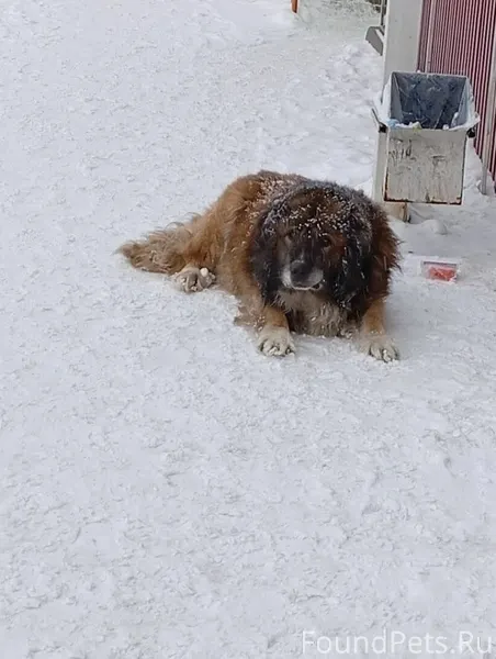 На ЖД вокзале, появился вот та...