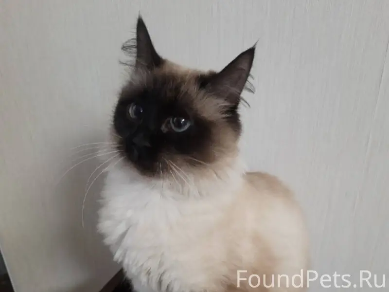 Вчера в районе пересечения ули...