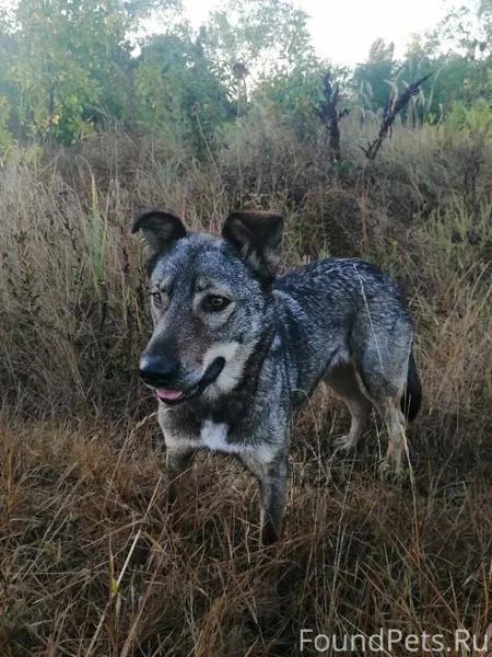 Друзья, здравствуйте! Краснода...