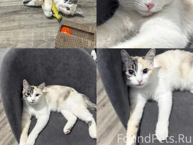 Иркутск. 19 ноября 2025 года у...