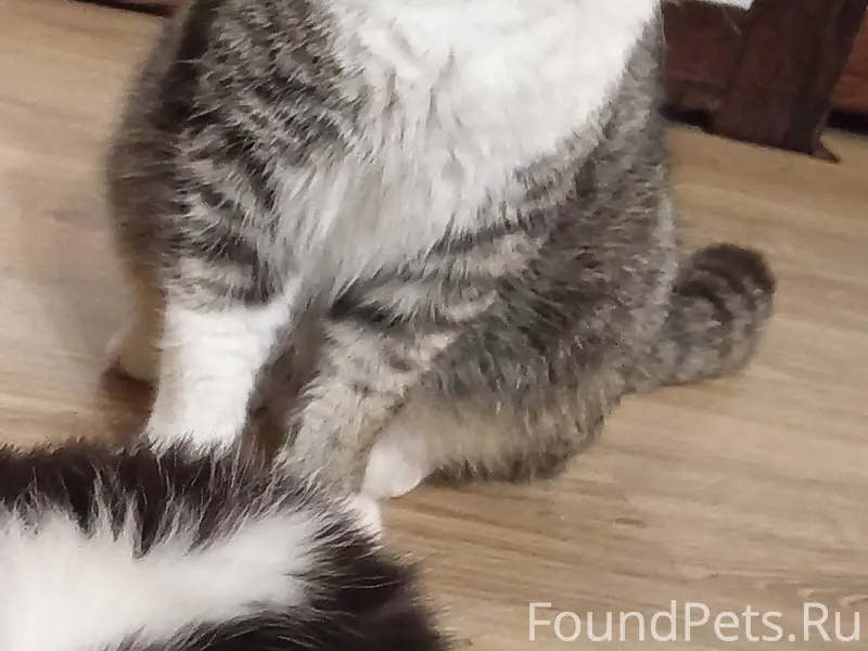 SOS! Очень прошу помочь! Пропа...