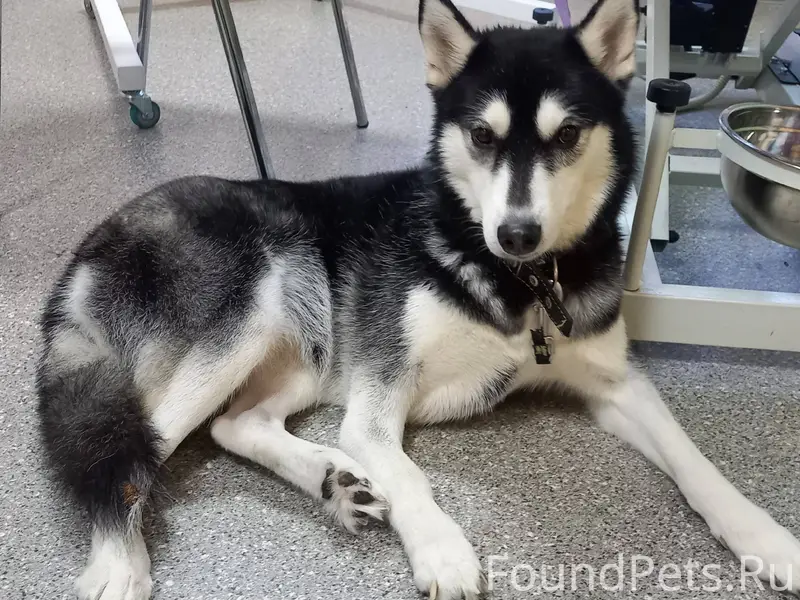 СРОЧНО!!! Ранним утром на алле...