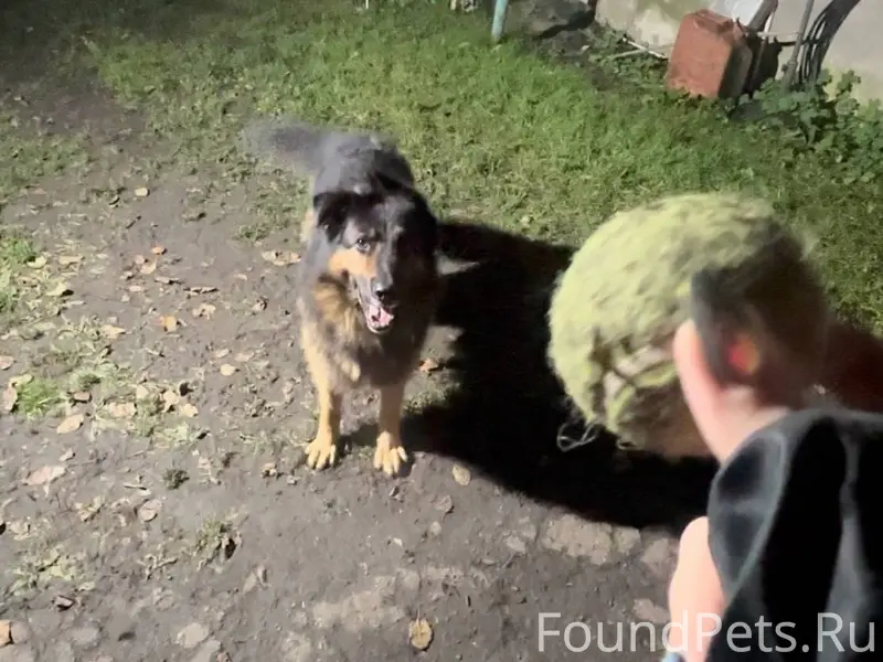 Помогите найти🙏 Пропала собака...
