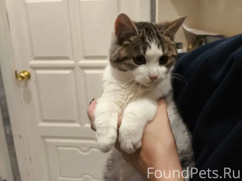 По улице Шлюзовая, возле 18 до...