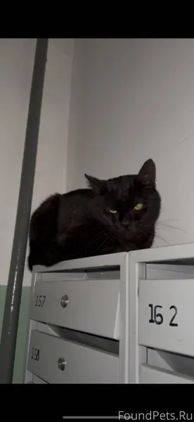 Район Детская (Ивантеевка) Най...