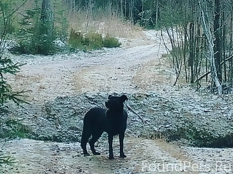 Всем здравствуйте! Была проезд...