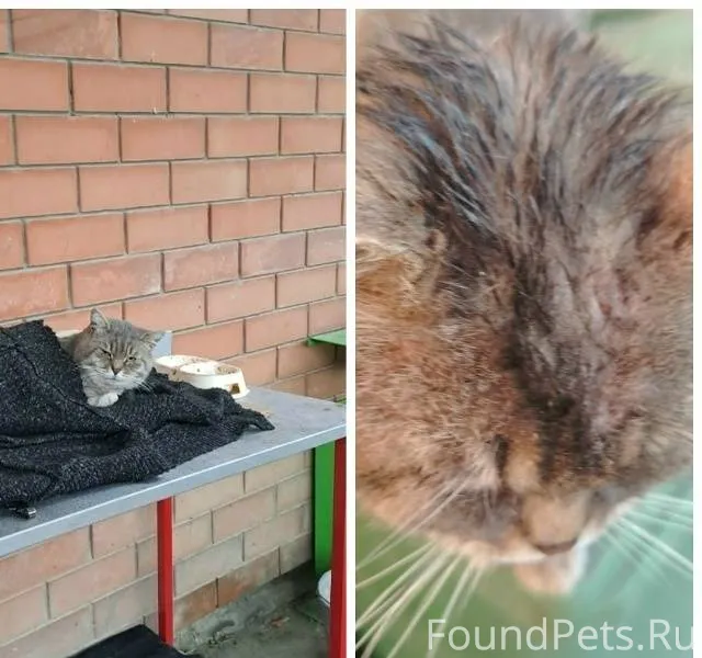 5.12 в п. Новом пропал...