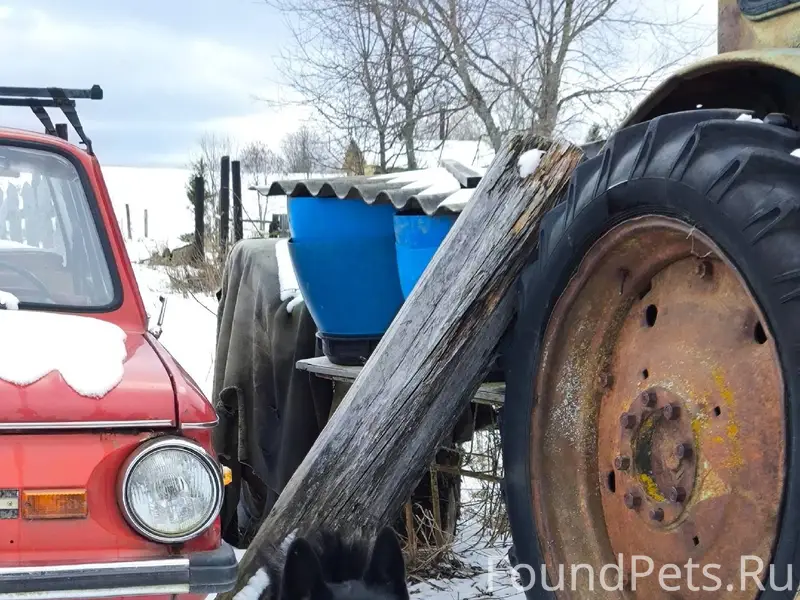 Здравствуйте! Помогите пожалуй...